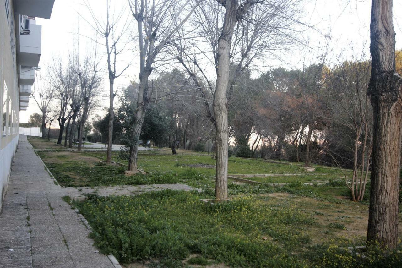 Bonito Apart. Con Parking Y Piscina Mairena del Aljarafe Bagian luar foto